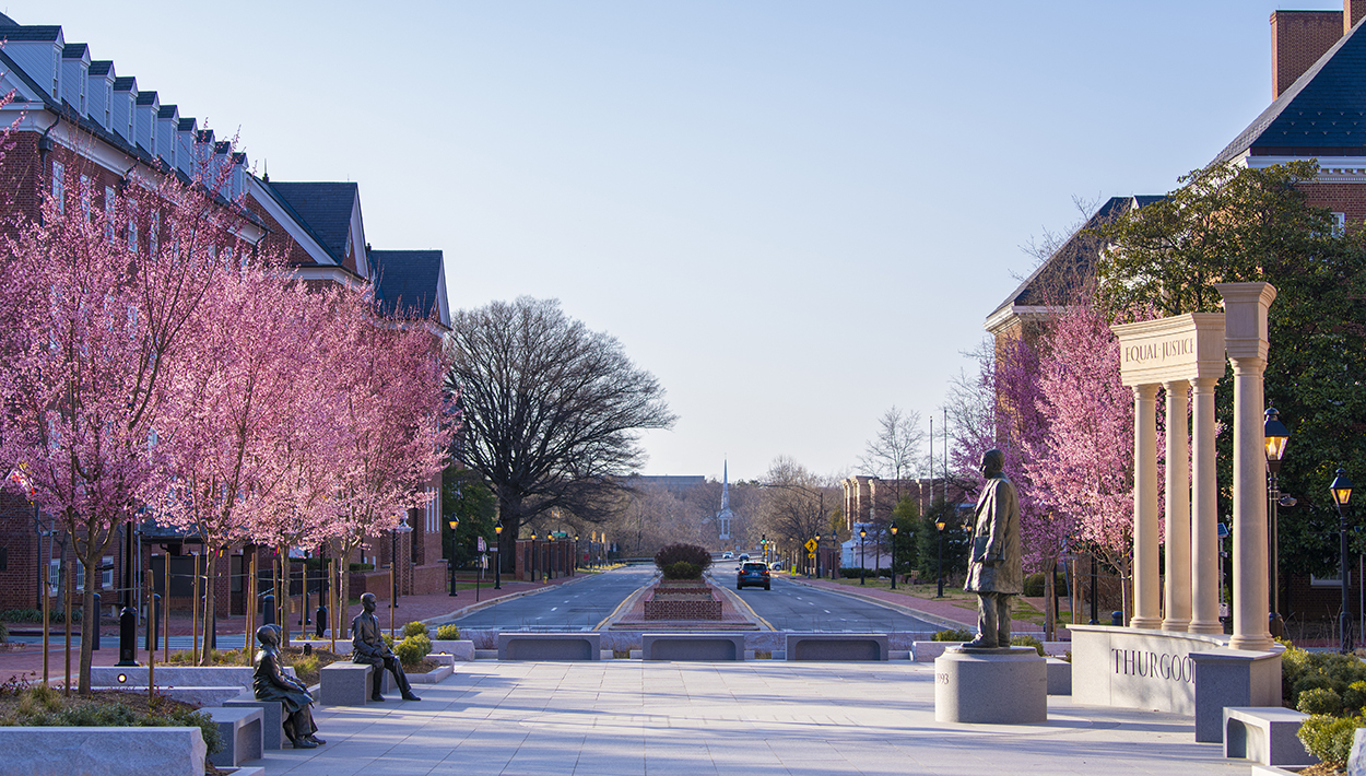 North Point Builders was the General Contractor for the historic restoration of Lawyer's Mall.